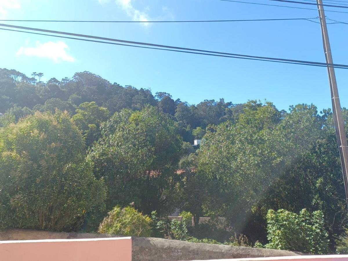 Casa Rosa Villa Sintra Bagian luar foto